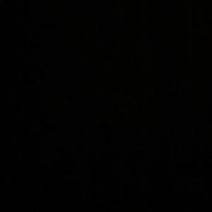 Meet your Posher, Katrina